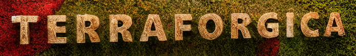 Terraforgica.ch